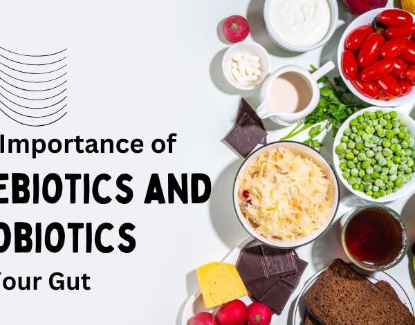 The Importance of Prebiotics and Probiotics for Your Gut