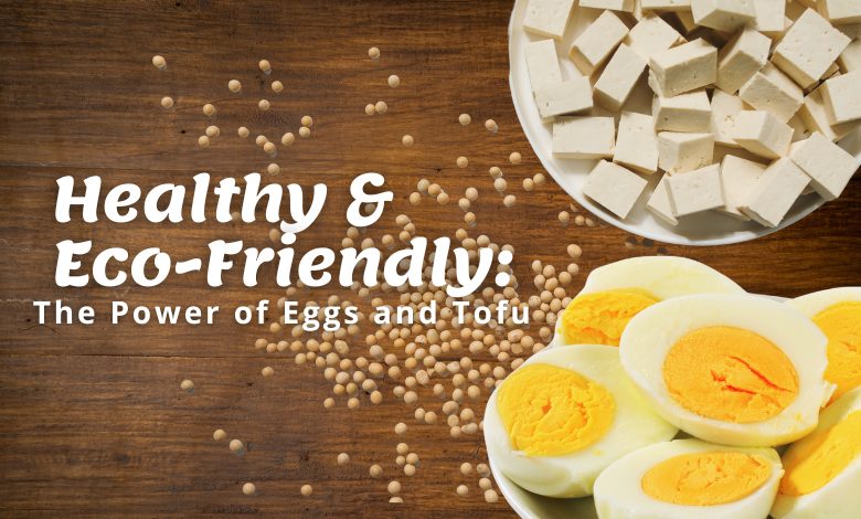 eco-friendly eggs and tofu