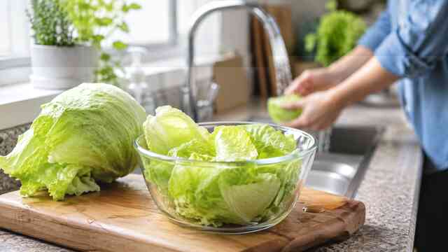 CDC and FDA Investigate Cyclospora Outbreak Linked to Iceberg Lettuce